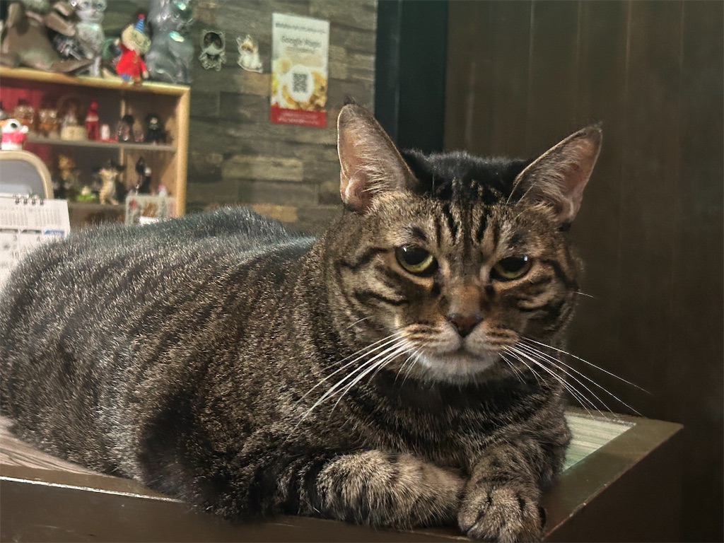 f:id:heurige2:20251129130351j:image