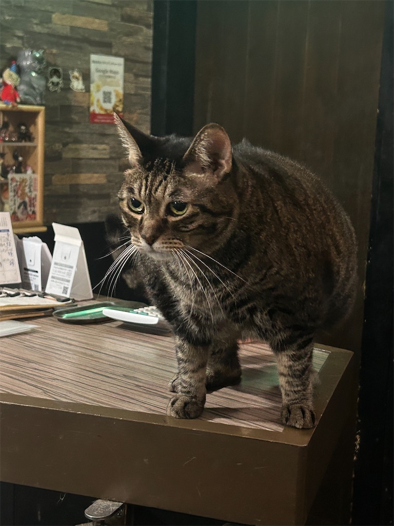 f:id:heurige2:20251129130358j:image