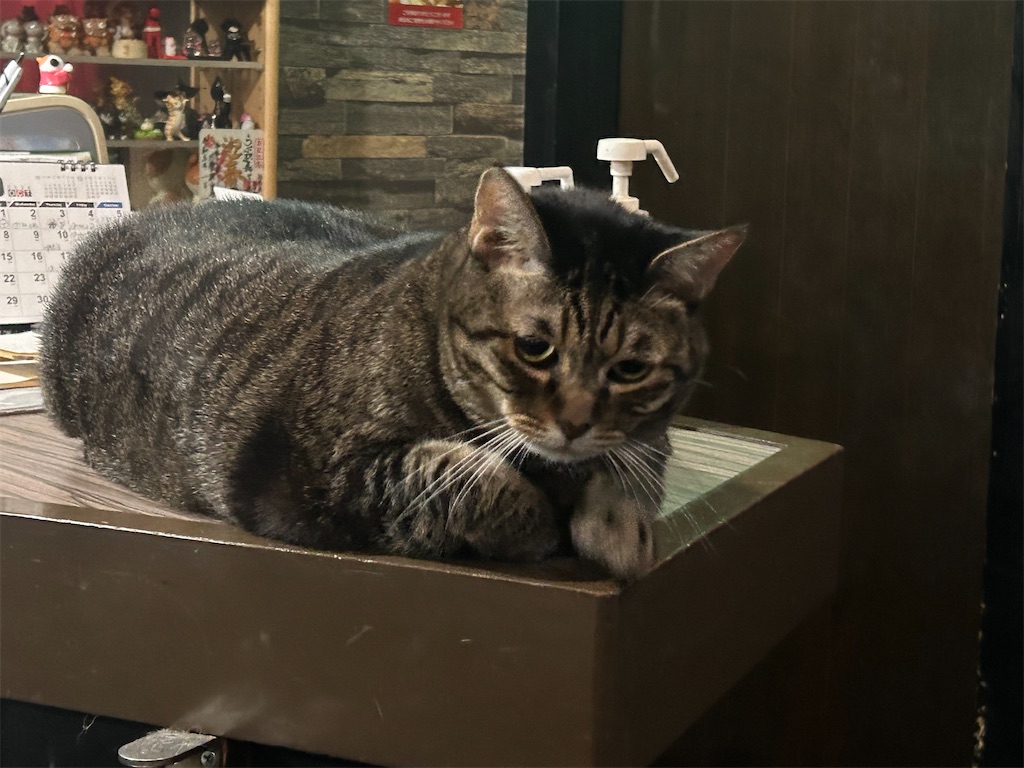 f:id:heurige2:20251129130410j:image