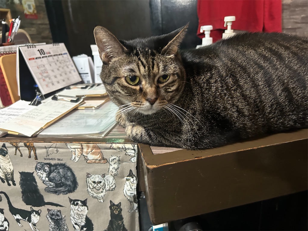 f:id:heurige2:20251129130418j:image