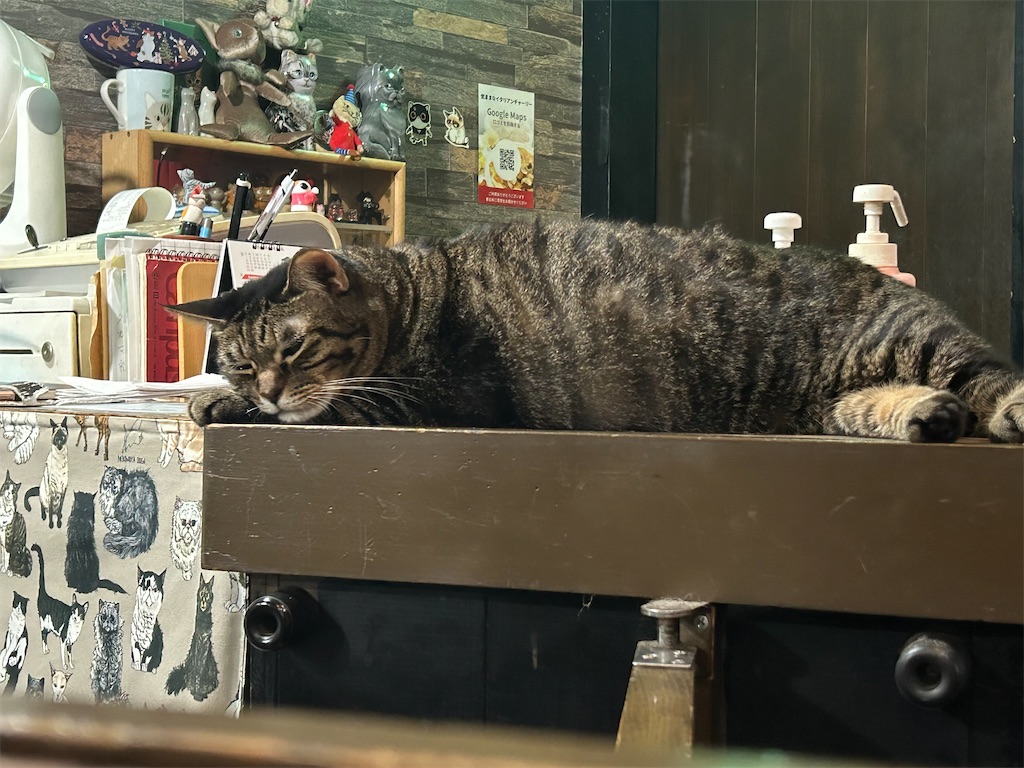 f:id:heurige2:20251129130422j:image