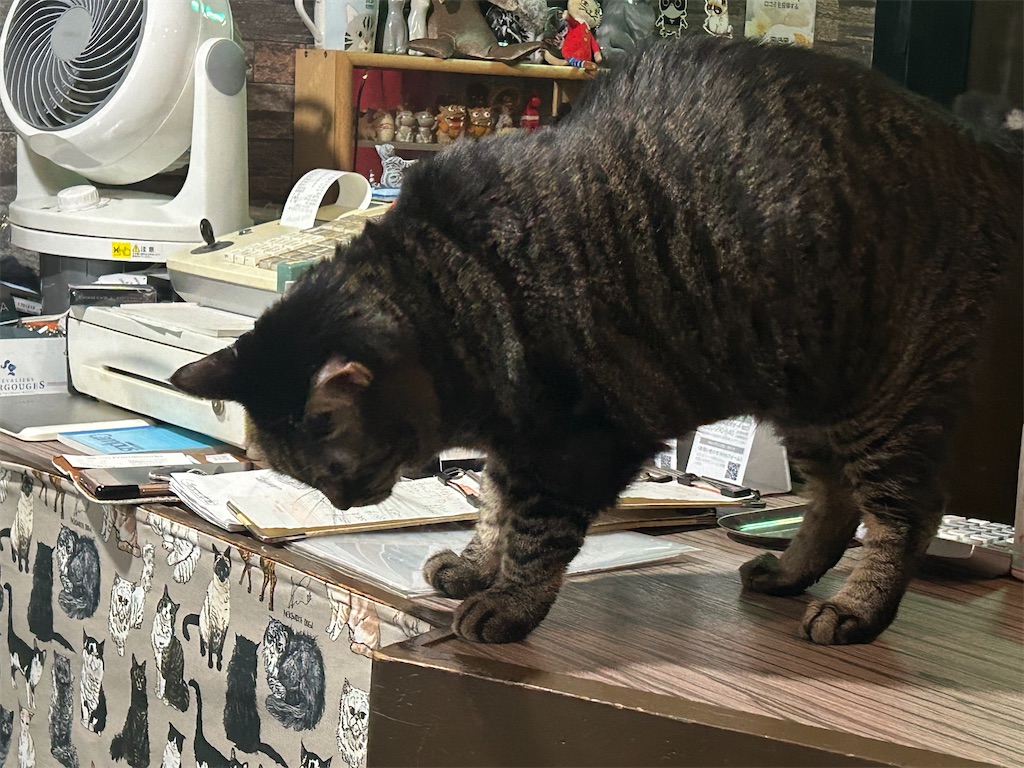 f:id:heurige2:20251129130426j:image