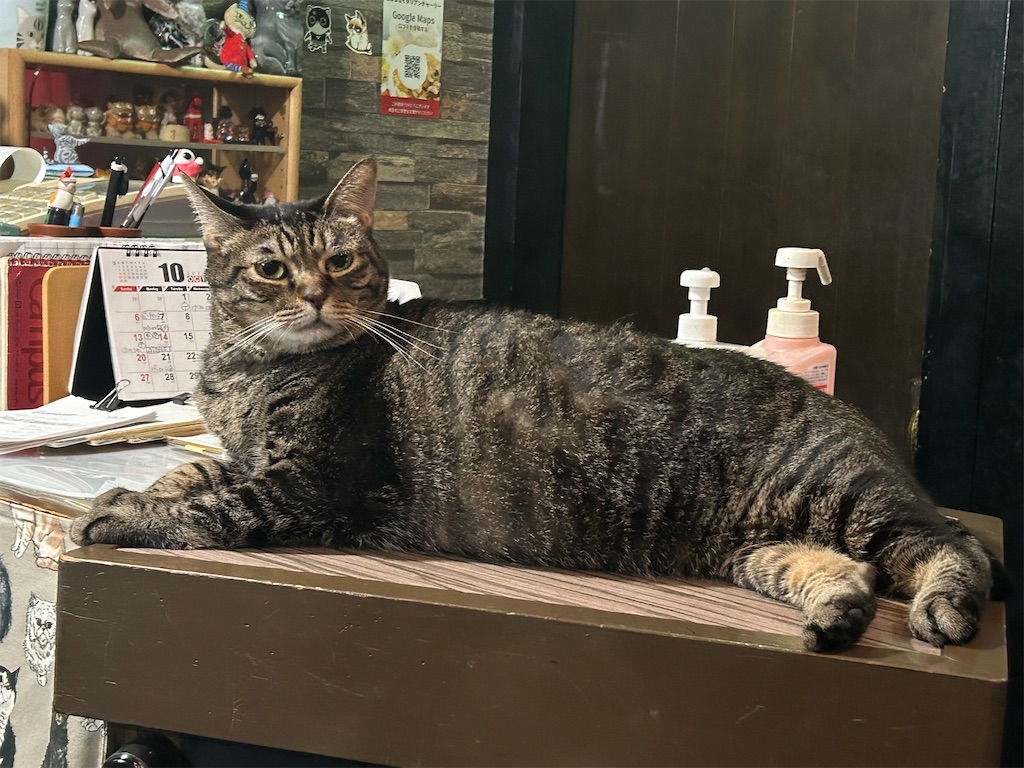 f:id:heurige2:20251129130442j:image