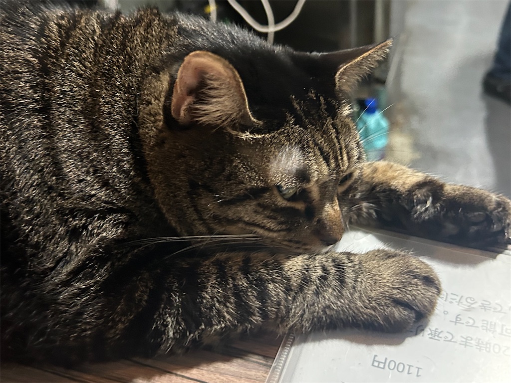 f:id:heurige2:20251129130447j:image