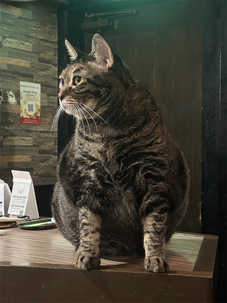 f:id:heurige2:20251129130519j:image