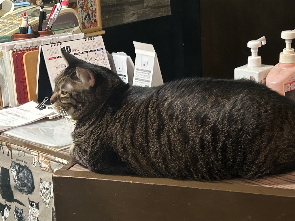 f:id:heurige2:20251129130532j:image