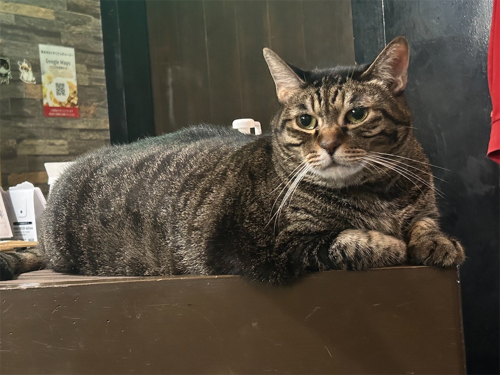 f:id:heurige2:20251129130605j:image