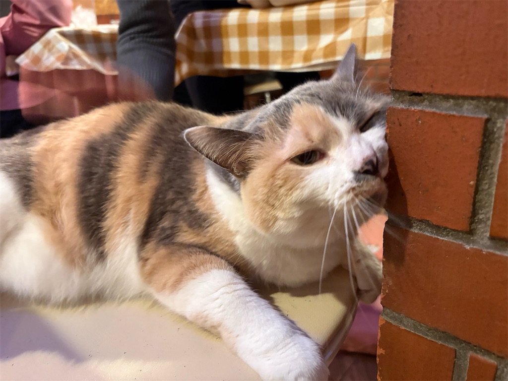 f:id:heurige2:20251222082501j:image