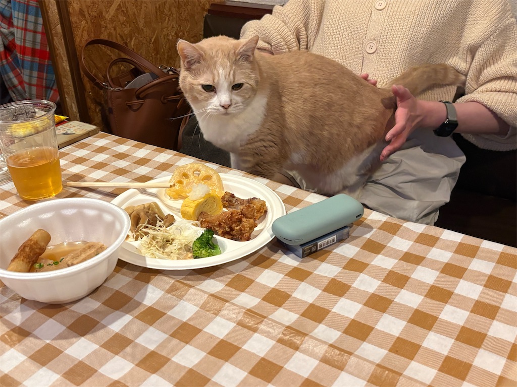 f:id:heurige2:20251222082508j:image