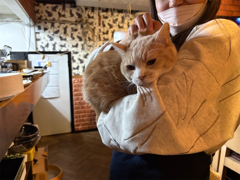 f:id:heurige2:20251222082522j:image