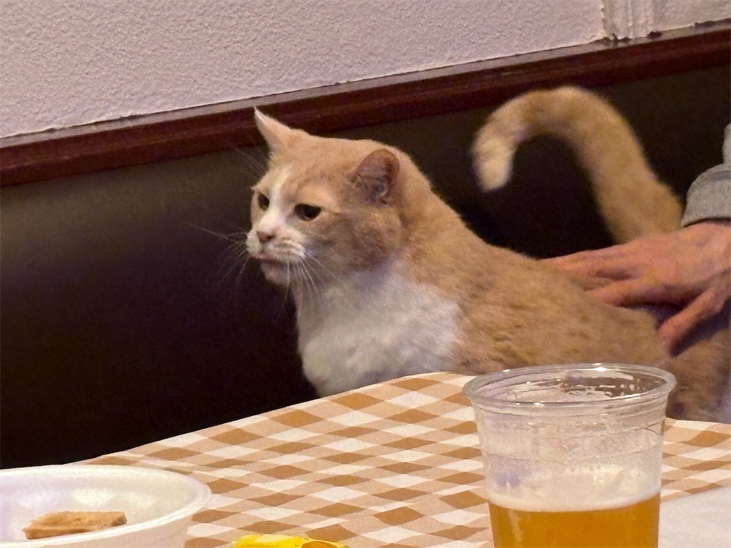 f:id:heurige2:20251222082529j:image