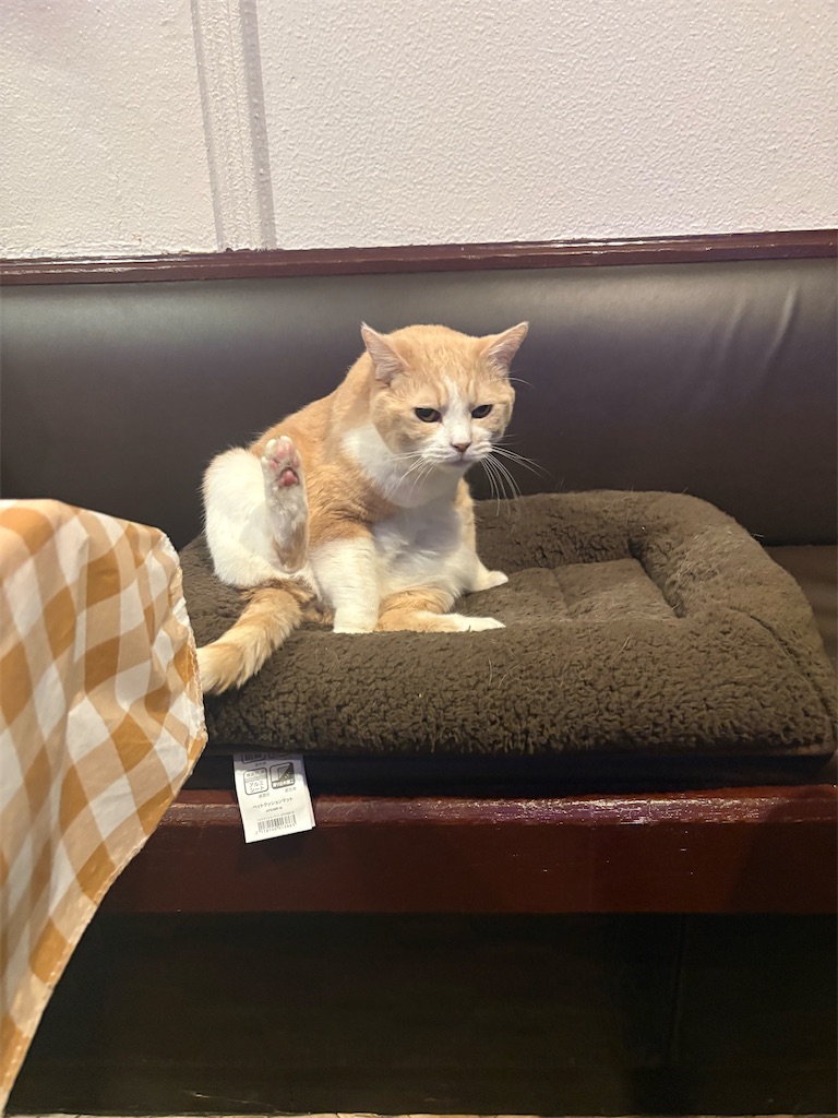 f:id:heurige2:20251222082538j:image