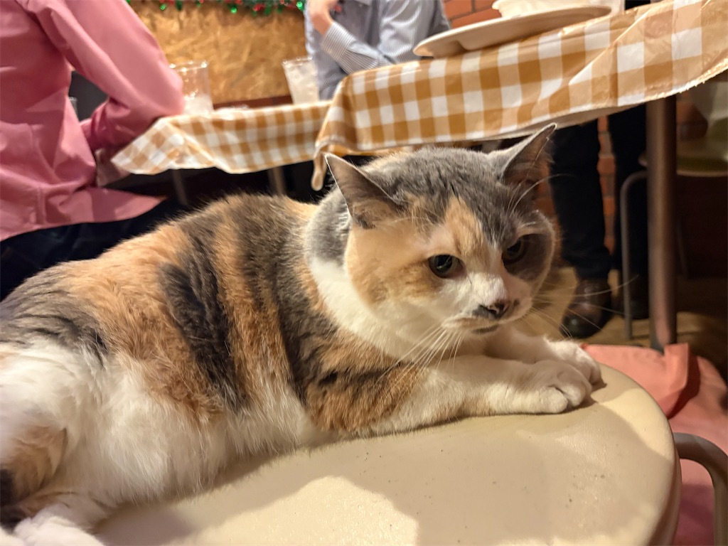 f:id:heurige2:20251222082542j:image