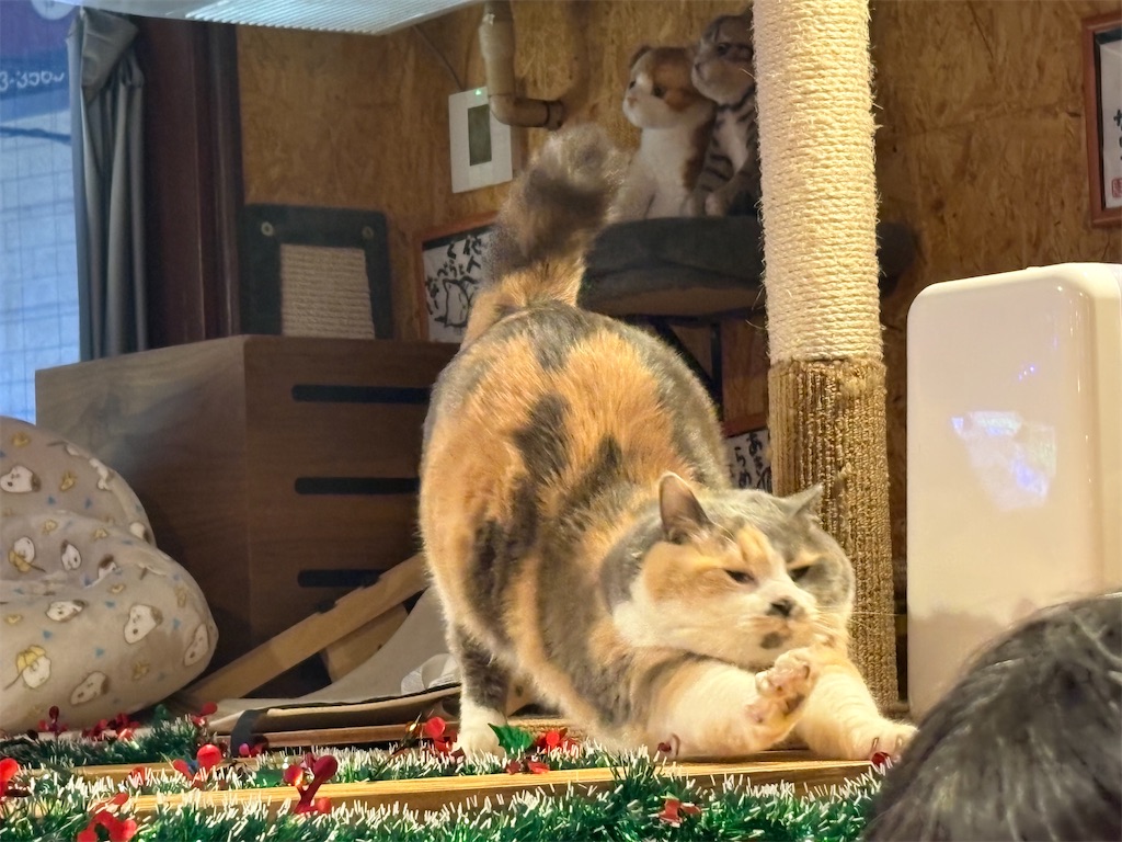 f:id:heurige2:20251222082600j:image