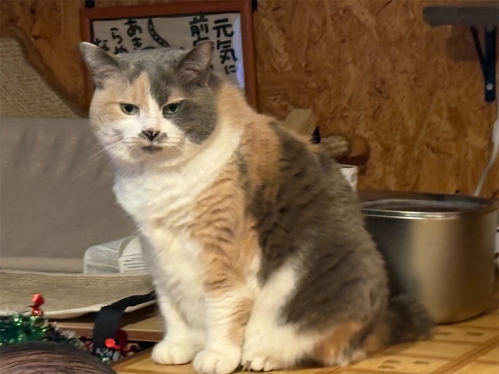 f:id:heurige2:20251222082610j:image