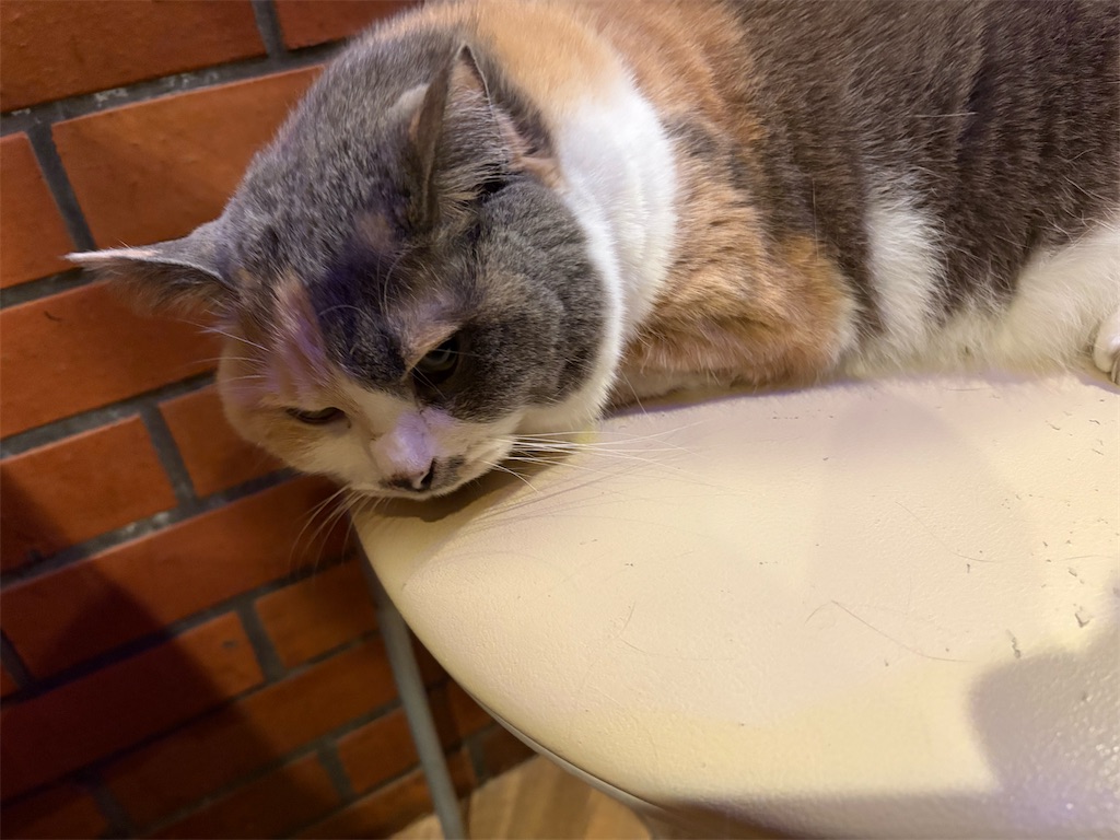 f:id:heurige2:20251222082626j:image