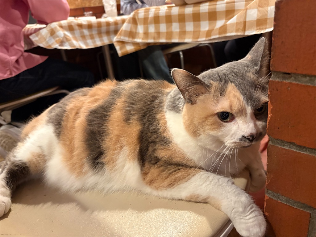 f:id:heurige2:20251222082654j:image