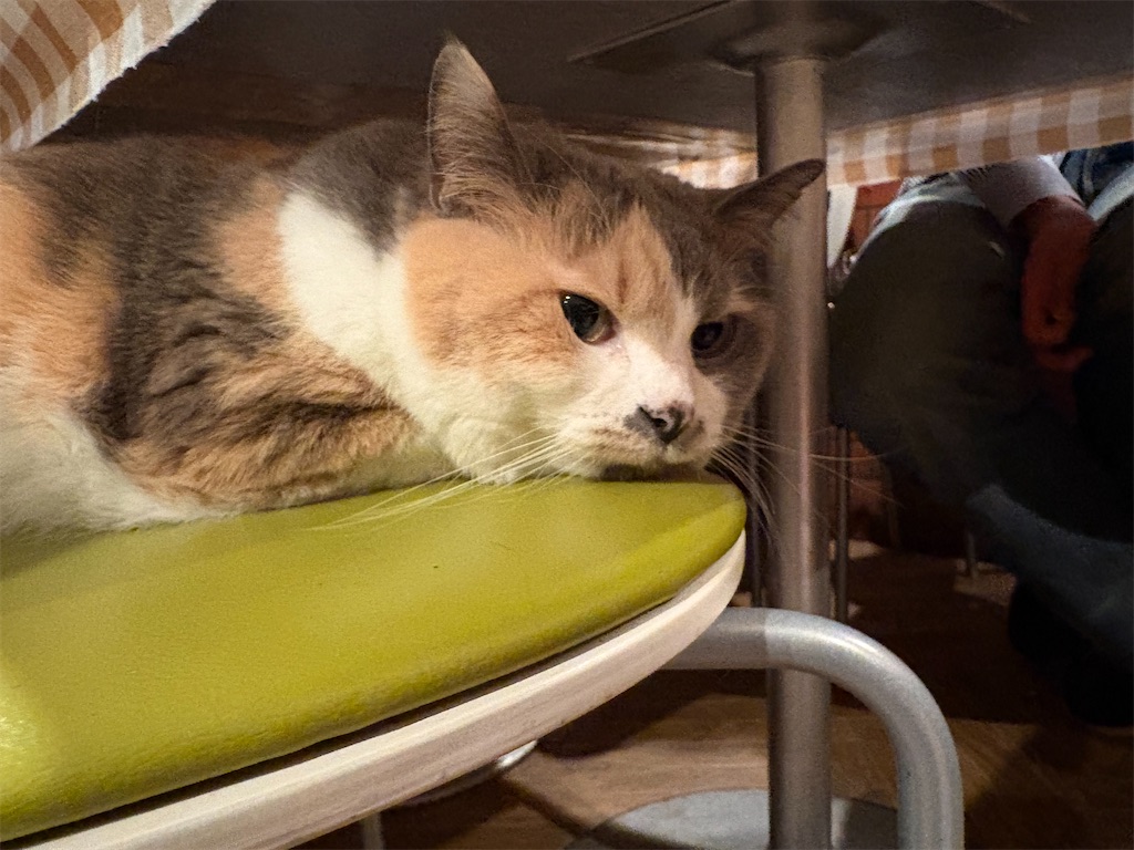 f:id:heurige2:20251222082701j:image