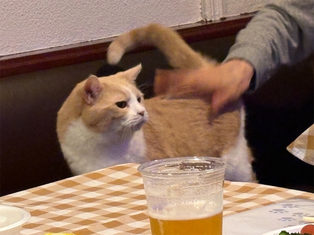 f:id:heurige2:20251222082708j:image