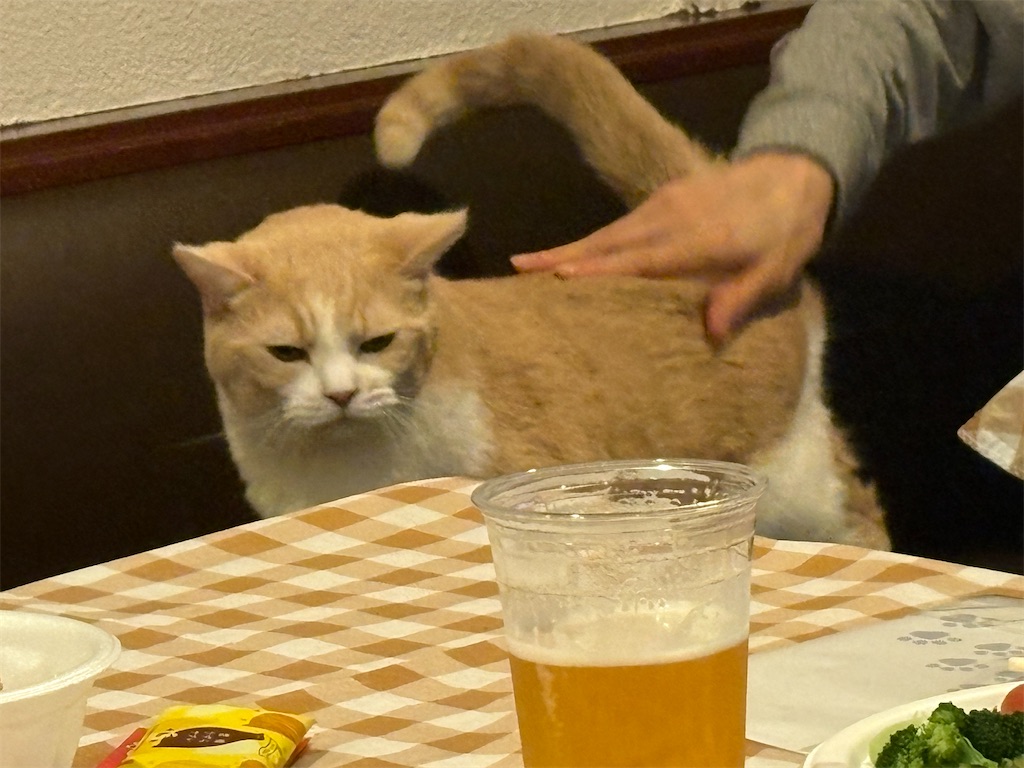 f:id:heurige2:20251222082728j:image