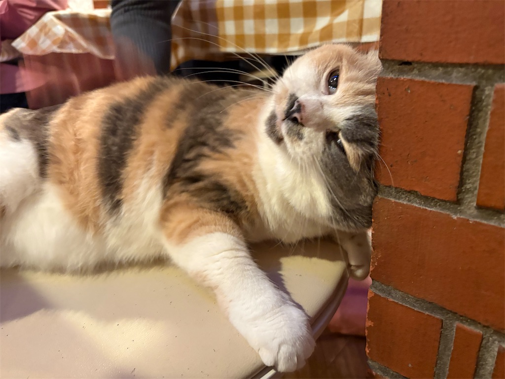 f:id:heurige2:20251222082735j:image