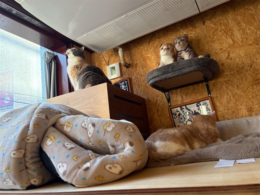 f:id:heurige2:20260204080101j:image