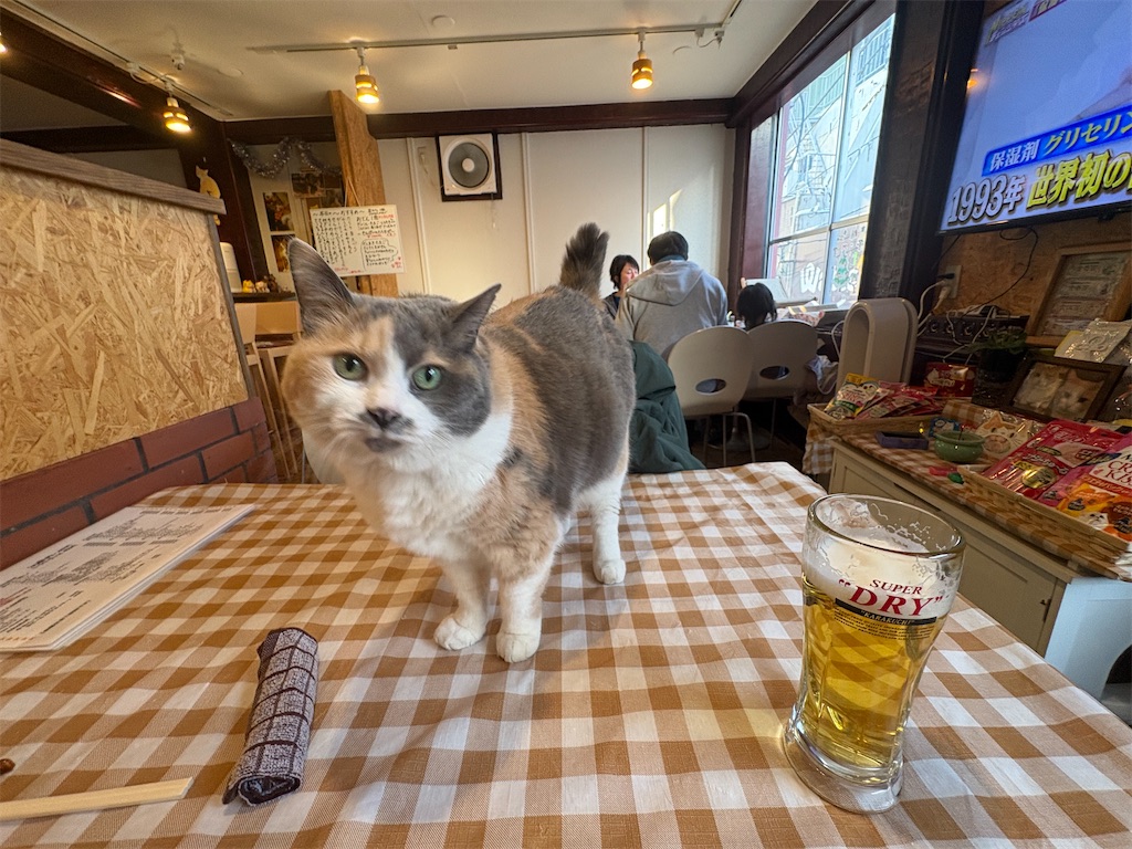 f:id:heurige2:20260204080110j:image