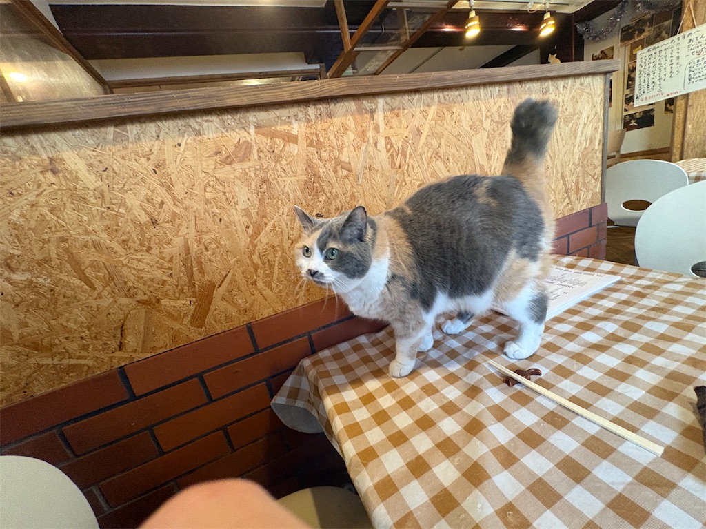 f:id:heurige2:20260204080113j:image