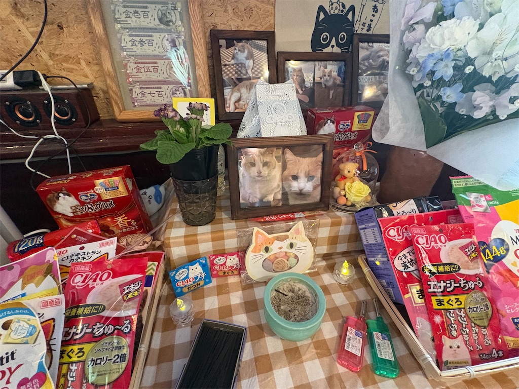 f:id:heurige2:20260204080116j:image