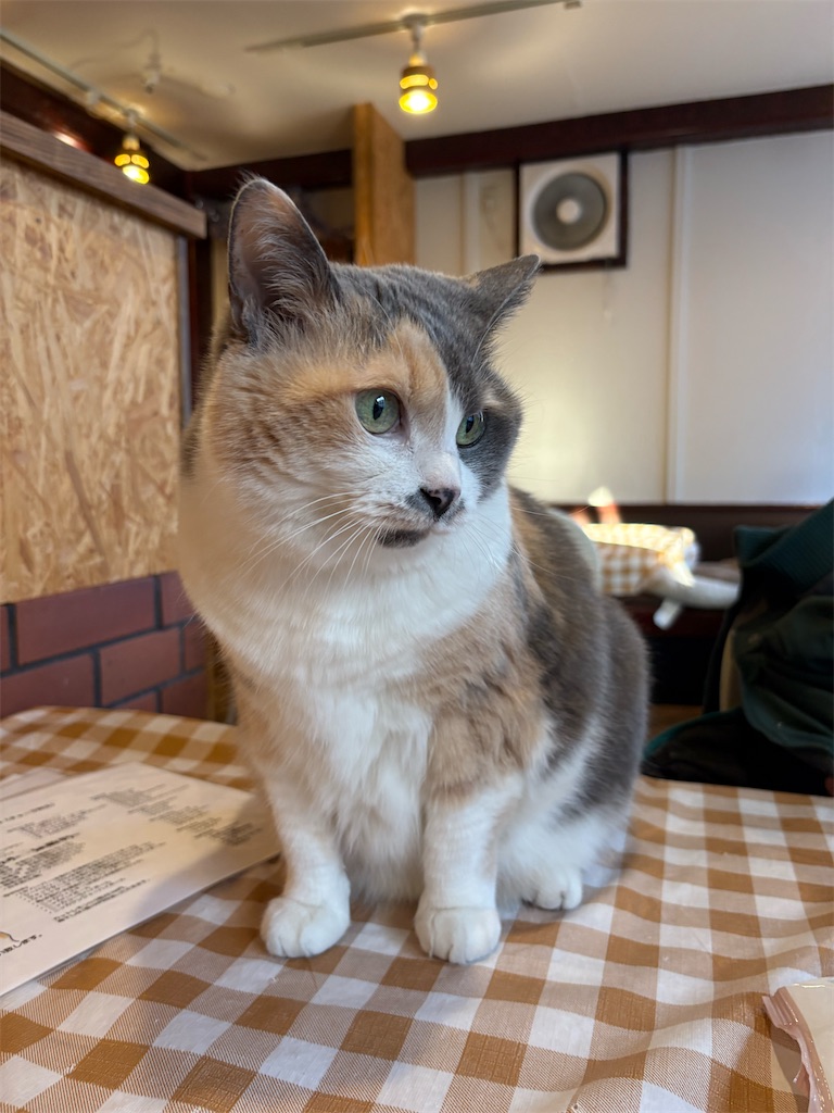 f:id:heurige2:20260204080120j:image