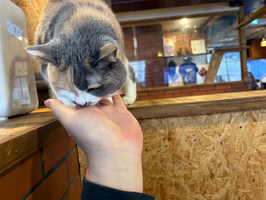 f:id:heurige2:20260204080124j:image