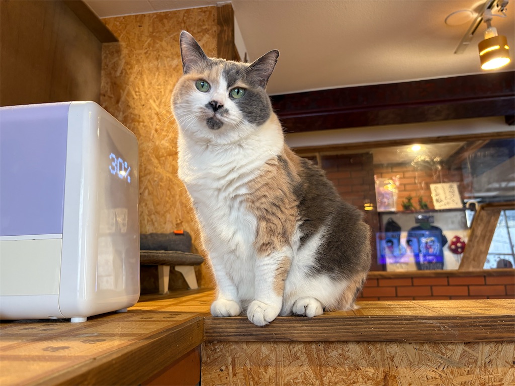 f:id:heurige2:20260204080205j:image