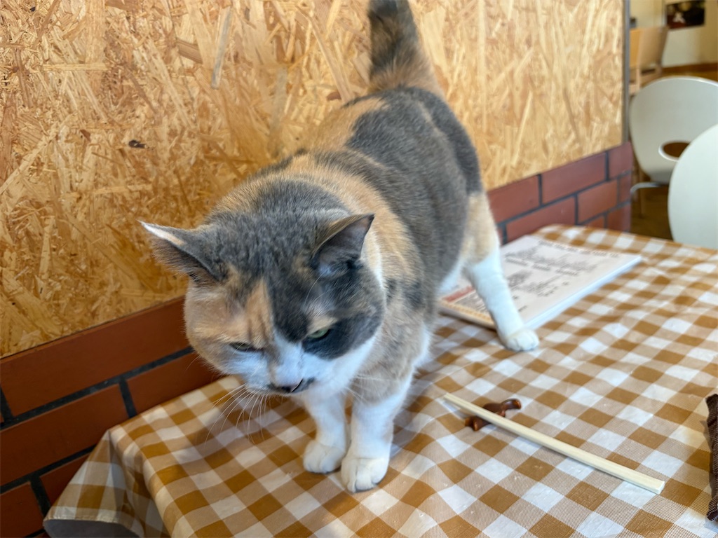 f:id:heurige2:20260204080218j:image