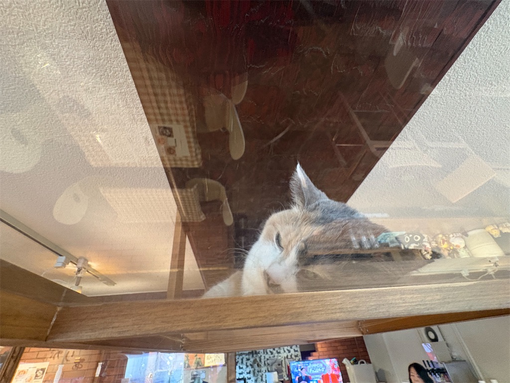 f:id:heurige2:20260204080248j:image