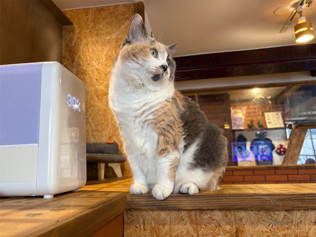 f:id:heurige2:20260204080300j:image