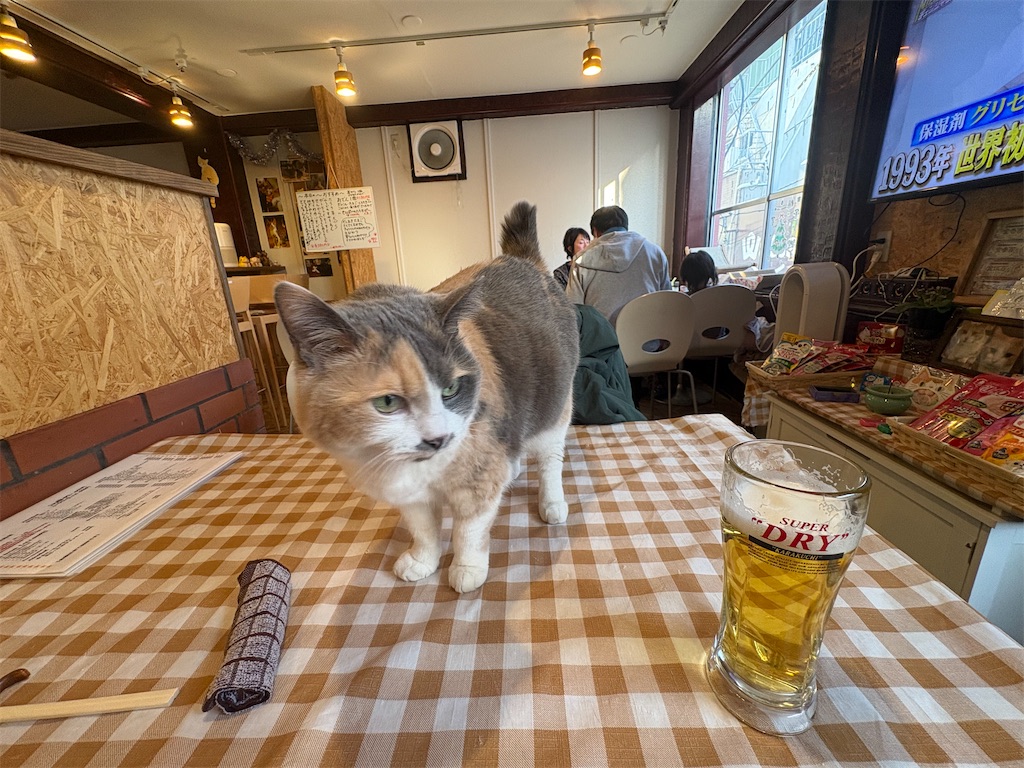 f:id:heurige2:20260204080310j:image