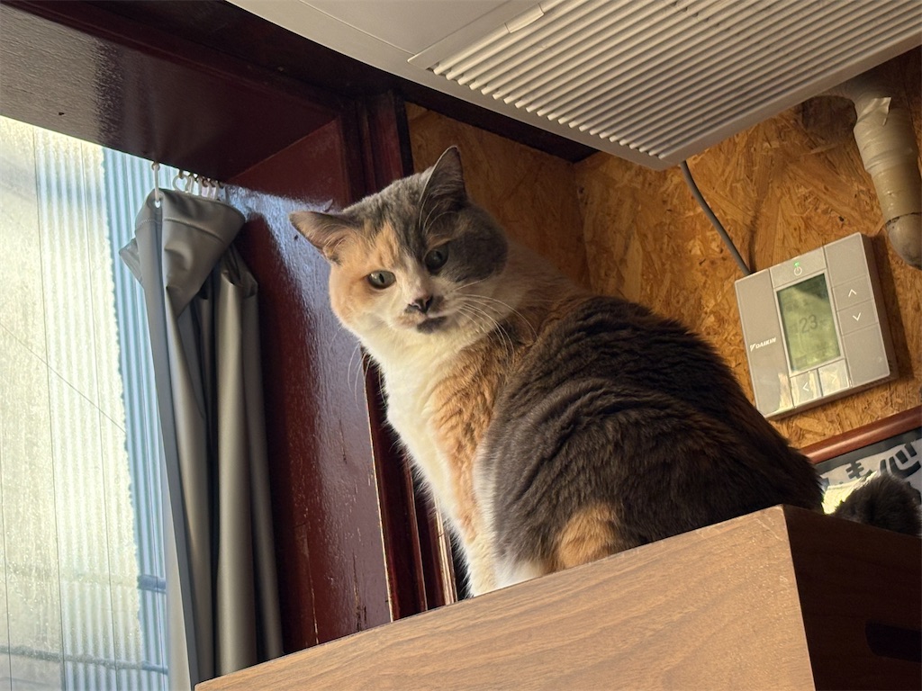 f:id:heurige2:20260204080323j:image