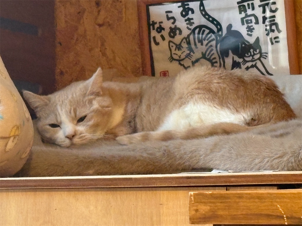 f:id:heurige2:20260205080057j:image