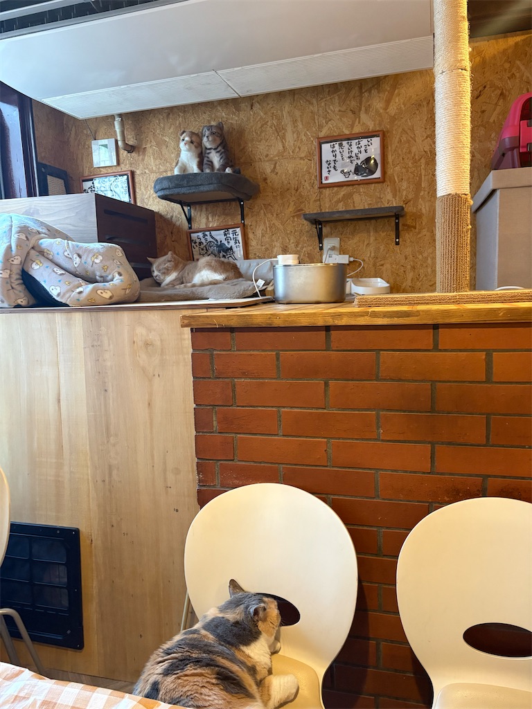 f:id:heurige2:20260205080103j:image