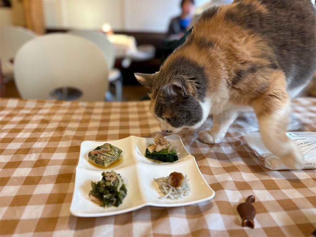 f:id:heurige2:20260205080116j:image