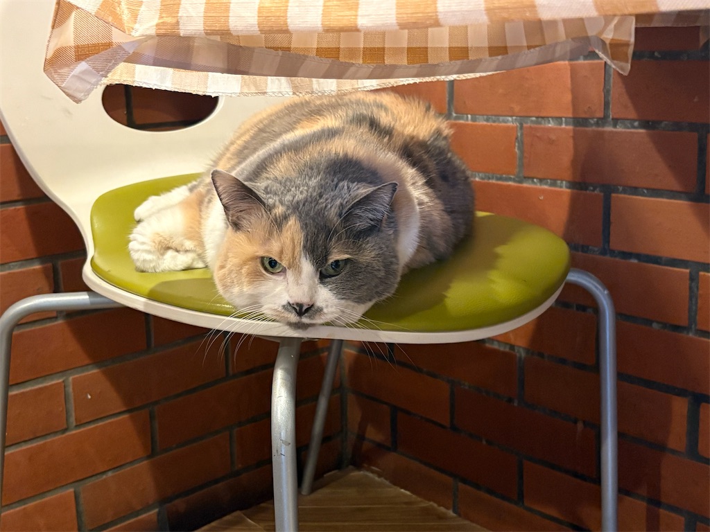 f:id:heurige2:20260205080124j:image