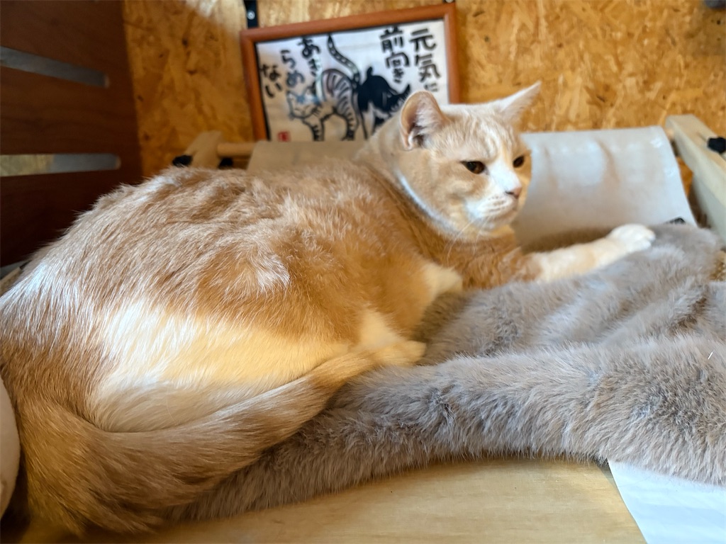 f:id:heurige2:20260205080132j:image