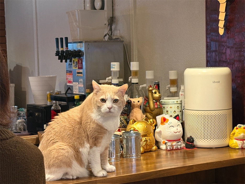 f:id:heurige2:20260205080138j:image