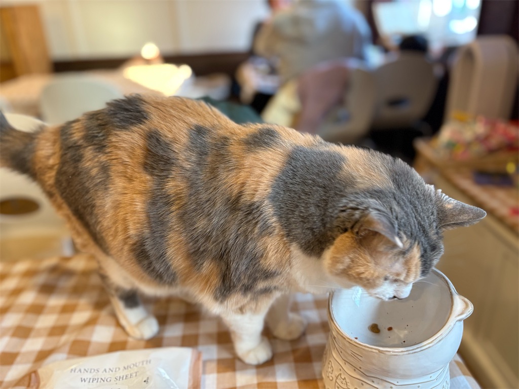 f:id:heurige2:20260205080141j:image