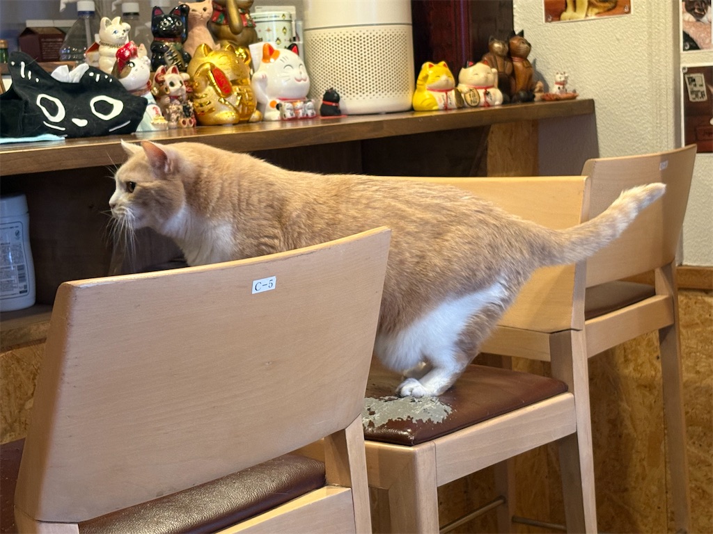 f:id:heurige2:20260205080209j:image