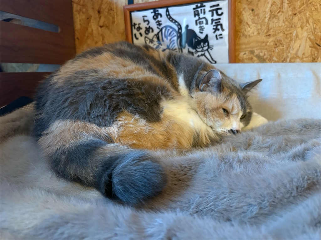 f:id:heurige2:20260205080223j:image