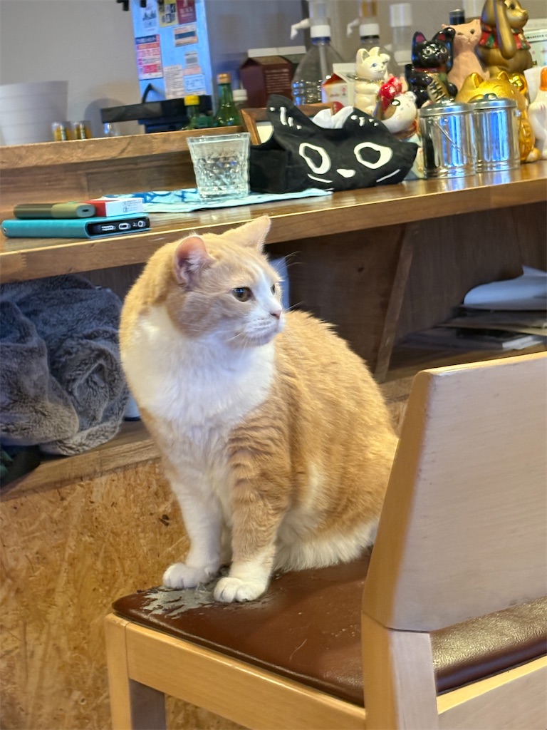 f:id:heurige2:20260205080230j:image