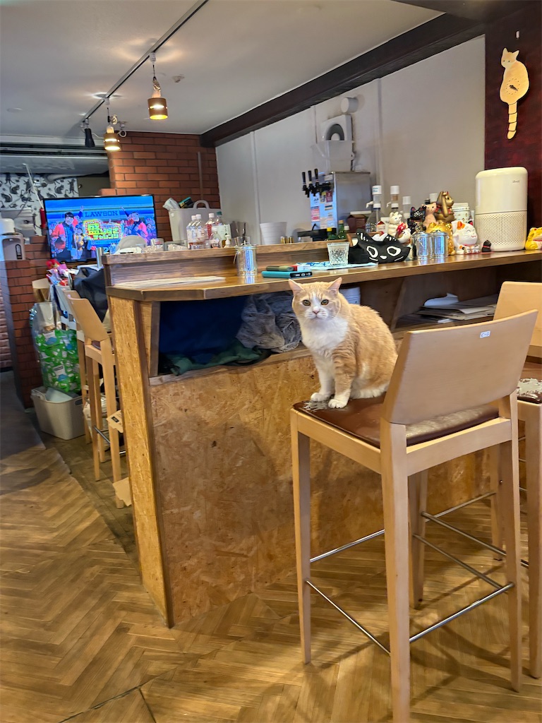 f:id:heurige2:20260205080236j:image