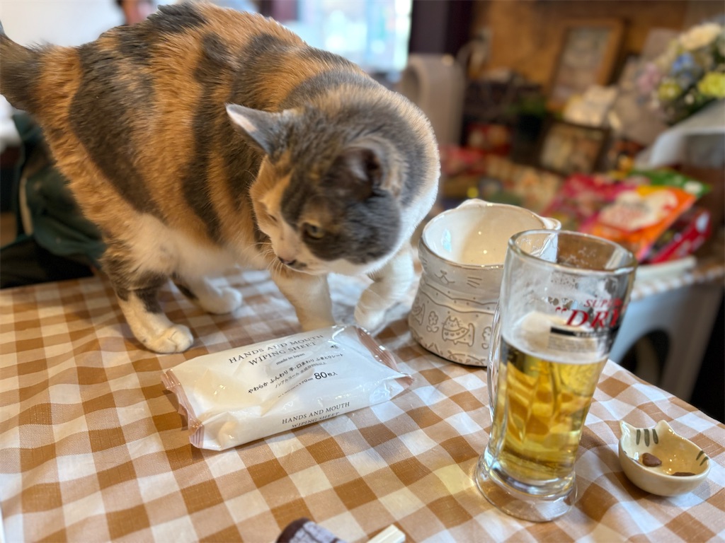 f:id:heurige2:20260205080240j:image