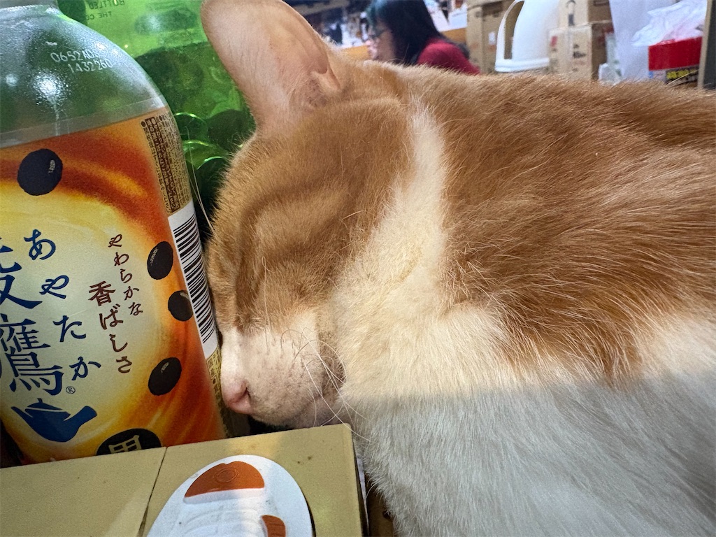 f:id:heurige2:20260206075344j:image